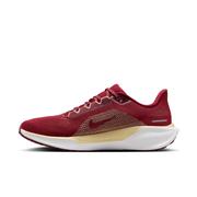 Florida State Nike Zoom Pegasus 41 Shoes